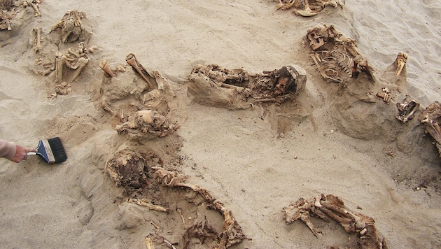 Knochenreste von mehr als 140 Kindern wurden im Norden Perus gefunden. (Bild: AP)