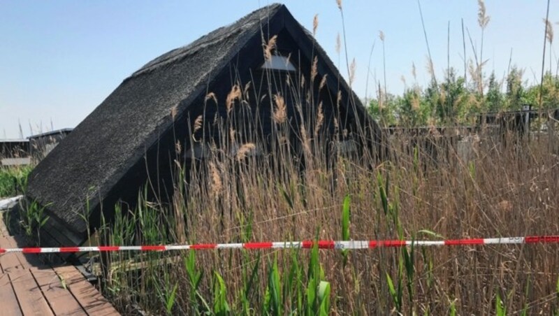 Bevor Alfred U. die Leichenteile im Neusiedler See versenkte, lagerte er sie mehrere Tage in seiner Schilfhütte in Rust ein. Danach bot er die kleine Liegenschaft über einen Wiener Immobilienmakler zum Verkauf an. Für 80.000 Euro. (Bild: Prewein Martina)