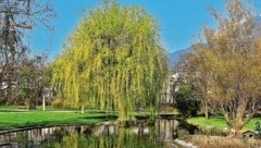 Der Rapolidpark im Frühsommer.