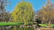 Die Idylle trügt: Mitten in der Nacht kam es im Rapoldipark zu einer brutalen Attacke.