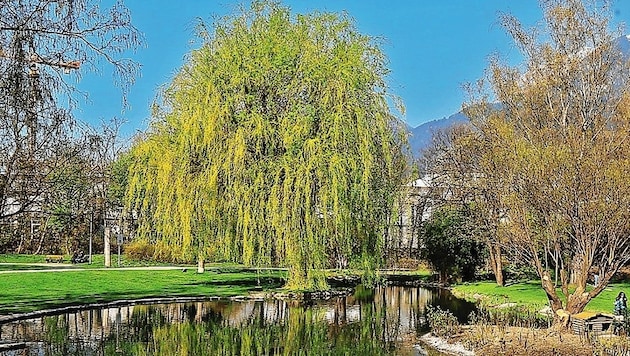 Rapoldipark a nyár elején.