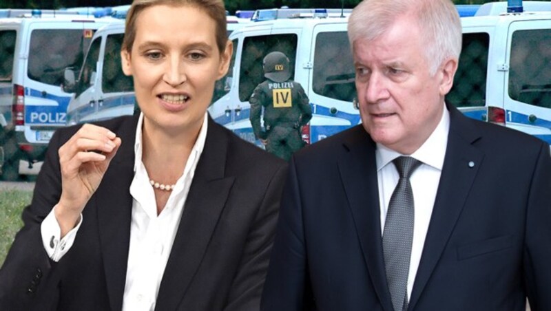 Deutschlands Innenminister Horst Seehofer (CSU) und die AfD-Fraktionschefin im Bundestag, Alice Weidel, zeigen sich fassungslos über die gewaltsame Verhinderung einer Abschiebung eines Togolesen. (Bild: APA/dpa/Stefan Puchner, APA/Sven Hoppe, AFP, krone.at-Grafik)