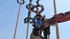 Die Maibaum-Crew mit einem Teil ihrer „Beute“ (Bild: Maibaum-Crew Steinbruch)