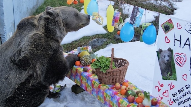 „Kenny“ hat über Jahre Tausende Besucher begeistert. (Bild: Mickie Sommeregger)