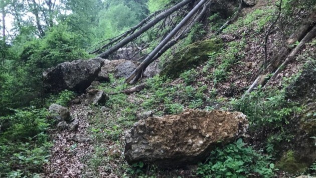 300 Tonnen Gestein stürzten in der vergangenen Woche zu Tal. (Bild: LPD Kärnten)