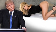 Trump wird vorgeworfen, vor der Wahl 2016 Geschäftsunterlagen im Zusammenhang mit einer Zahlung an den Pornostar Stormy Daniels gefälscht zu haben. (Bild: AFP, Penthouse, krone.at-Grafik)