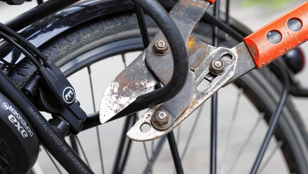 Sieben Fahrräder wurden aus sechs Kellerabteilen gestohlen (Bild: APA/DPA/FRISO GENTSCH)