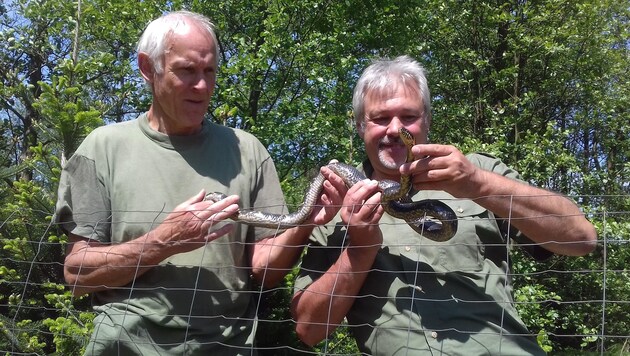 Die Spezialisten Rainer Fesser und Werner Stangl mit dem zweiten gefundenen Tier. (Bild: Werner Stangl)