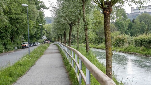 Salzburg: Neuer Radweg entlang des Almkanals (Bild: Markus Tschepp)