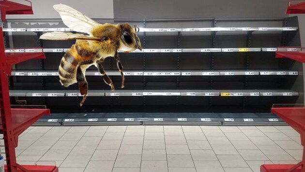 Leere Regale - sterben die Bienen aus, könnte uns das blühen. (Bild: Penny, stock.adobe.com, krone.at-Grafik)