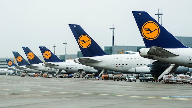 Lufthansa aircraft in Frankfurt (archive image) (Bild: APA/dpa/Christophe Gateau)
