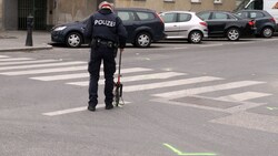 Auf einem Schutzweg wurde die Jugendliche niedergestoßen (Symbolbild) (Bild: KRONEN ZEITUNG (Symbolbild))