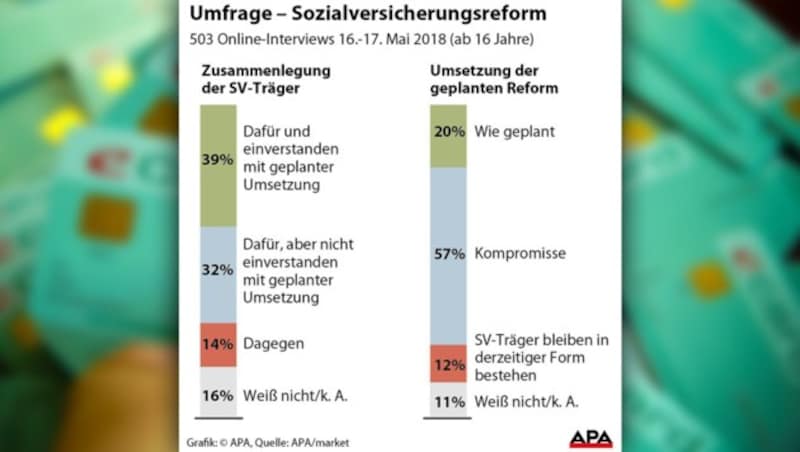 (Bild: APA/WIRTSCHAFTSBUND, APA, krone.at-Grafik)