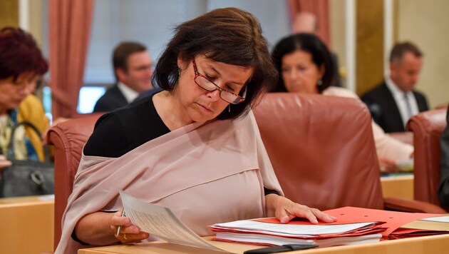SPÖ-Landeschefin Birgit Gerstorfer. (Bild: Harald Dostal)