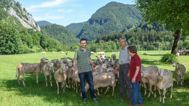 Die Züchterfamilie Klaus, Johann und Christine Kaltenbrunner bangt um ihre Schafherde, seit sich offenbar ein Wolf in der Gegend aufhält. (Bild: © Jack Haijes)