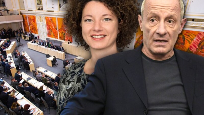 Martha Bißmann, Peter Pilz (Bild: Parlamentsdirektion/PHOTO SIMONIS, APA/GEORG HOCHMUTH, APA/HELMUT FOHRINGER, krone.at-Grafik)