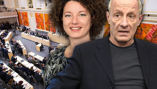 Martha Bißmann, Peter Pilz (Bild: Parlamentsdirektion/PHOTO SIMONIS, APA/GEORG HOCHMUTH, APA/HELMUT FOHRINGER, krone.at-Grafik)