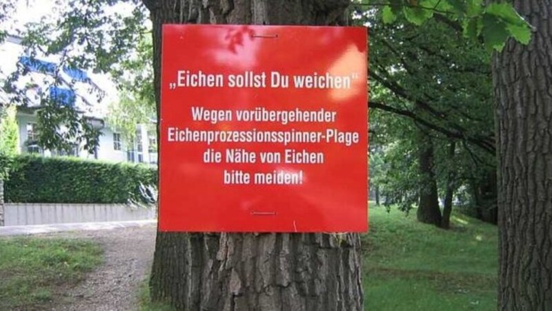 (Bild: Bundesforschungszentrum für Wald)