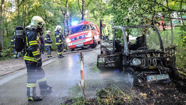 Der Elektro-Kleintransporter brannte nach dem Vorfall nahe der Traunbrücke völlig aus. (Bild: FF Traun)