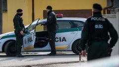 In der Slowakei hat die Polizei jetzt einen möglichen Brandanschlag auf eine Drohnenfabrik ...
