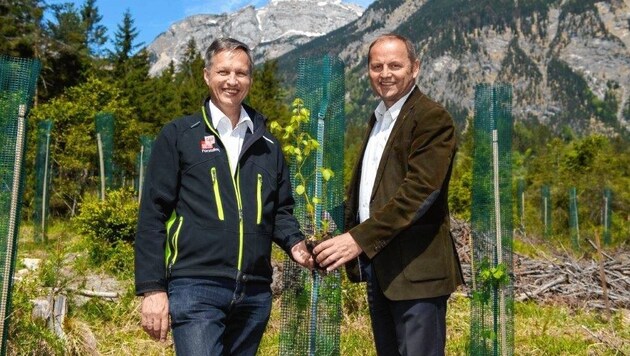 Landesforstdirektor Josef Fuchs (links) und LHStv Josef Geisler freuen sich über die rund zwei Millionen junger, standortangepasster Bäume. (Bild: Land Tirol/Oss)
