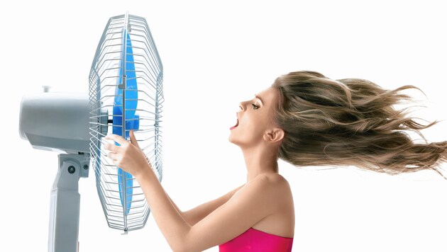 Wenn es so heiß ist hilft manchmal nur ein Ventilator... (Bild: ©srady - stock.adobe.com)