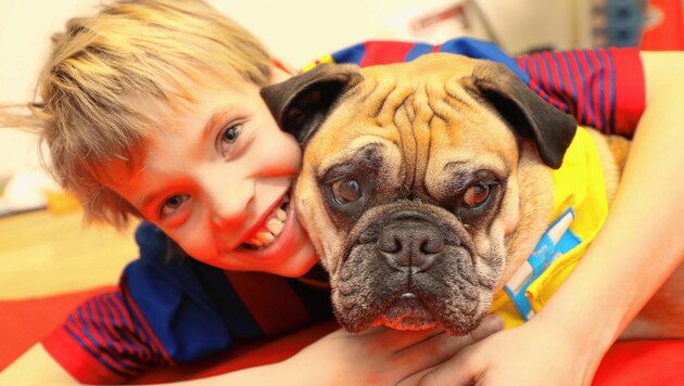 Therapiehund Speedy wird von den Kindern in der Peter-Rosegger- Volksschule in Graz geliebt! (Bild: Juergen Radspieler)