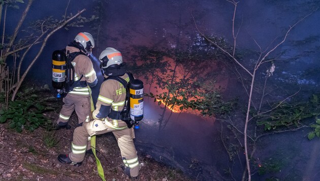 Der dürre Wald brannte bei Linz (Bild: FOTOKERSCHI.AT/KERSCHBAUMMAYR)