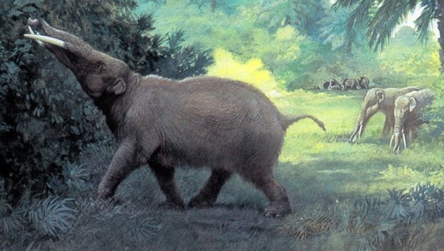 Künstlerische Darstellung: So hat der Urelefant vermutlich ausgesehen. (Bild: American Museum Natural History (Public Domain))