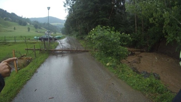 Baum stürzte über Fladnitzerweg (Bild: FF Klein St. Paul)