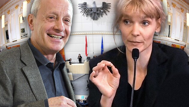 Peter Pilz, Maria Stern (Bild: APA/Hans Punz, APA/Roland Schlager, APA, krone.at-Grafik)