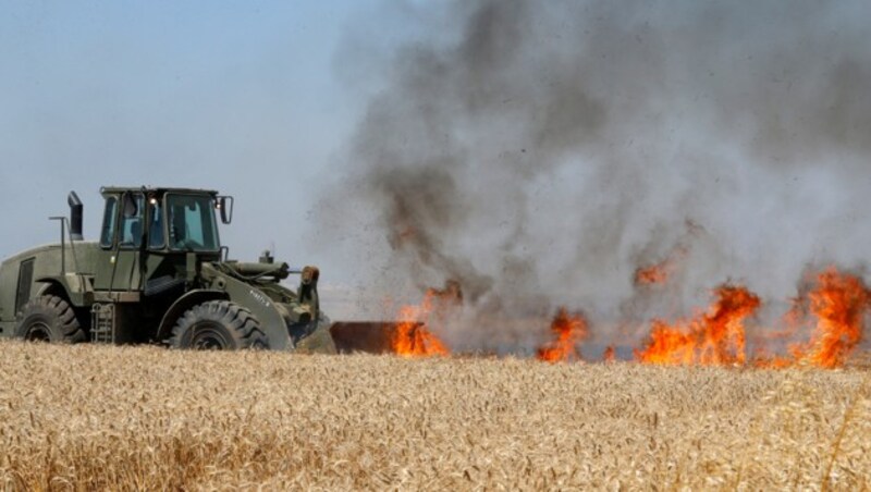 Ein israelischer Farmer versucht die Feuersbrunst aufzuhalten. (Bild: AFP)