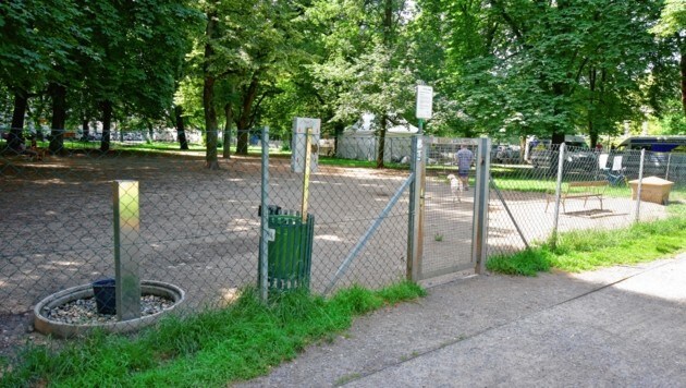 Die Hundewiese im Grazer Augarten war der Tatort. (Bild: Richard Heintz)