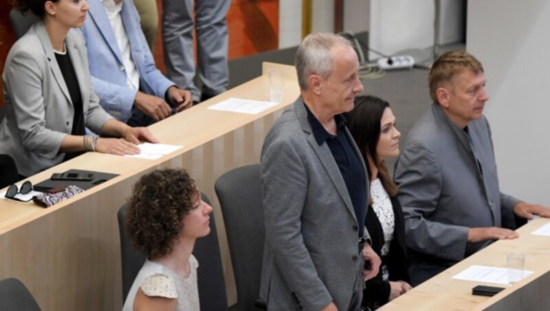 Peter Pilz in der Sitzung seiner Angelobung. (Bild: APA/ROLAND SCHLAGER)