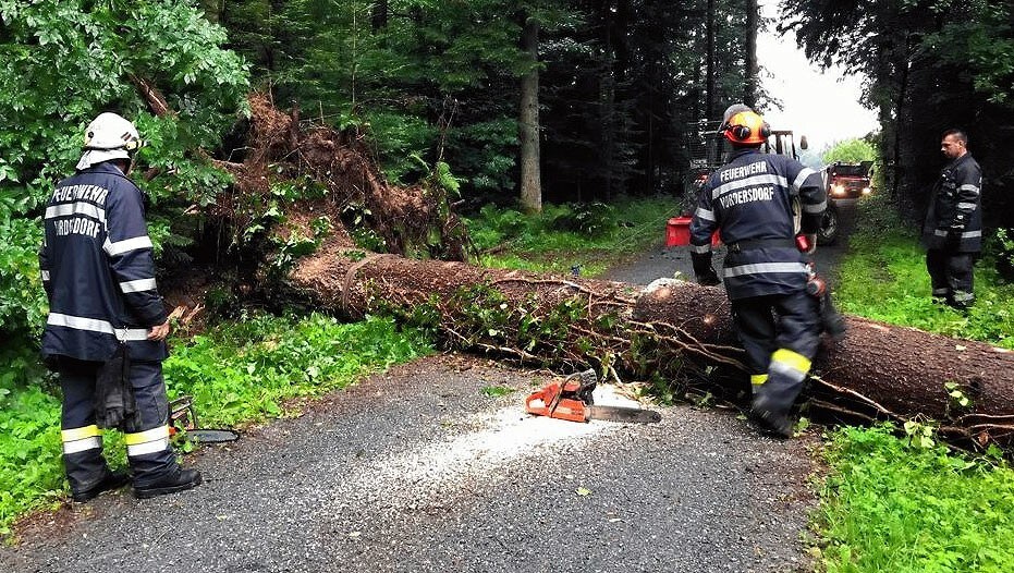 Böen Bis Zu 120 Km/h - Unwetter-Horror In Graz: Todesopfer Im Stadtpark ...