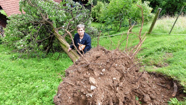 Christa Z. hinter einem entwurzelten Baum: „Ich habe gelernt, mit Unwettern zu leben und geh’ sicher nie von daheim weg“ (Bild: Elmar Gubisch)