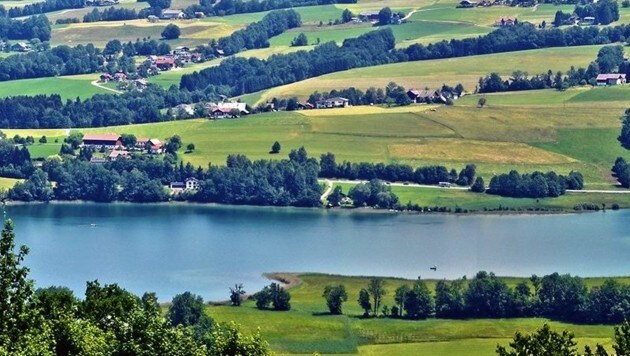 Die Tschechin wurde beim Schwimmen im Irrsee im benachbarten Oberösterreich bewusstlos. (Bild: KR)