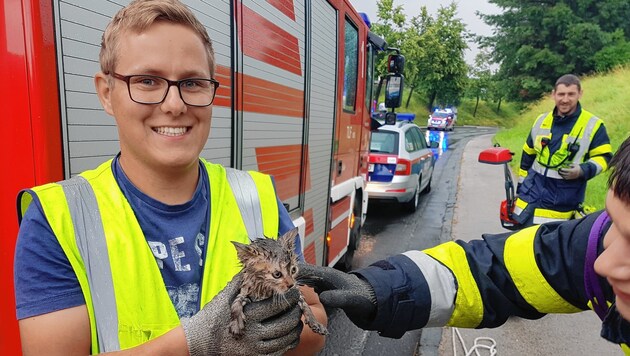Feuerwehrmann Sandro Gollob mit gerettetem Kätzchen (Bild: HFW Villach/KK)