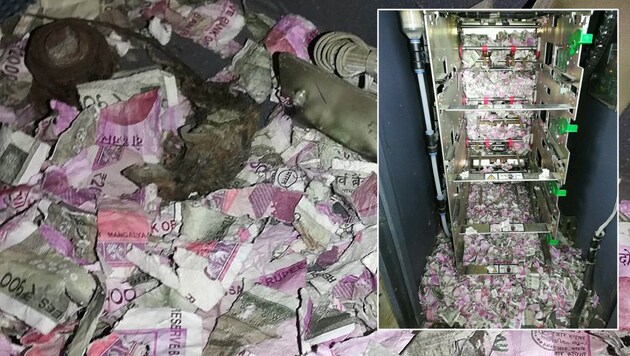 15.000 Rupien waren wohl doch zu viel - die Ratte verendete. (Bild: AFP)