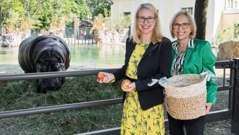 Als kleines Geschenk brachte Bundesministerin Margarete Schramböck (li.) einen Korb voller Äpfel mit - ein beliebter Leckerbissen bei den Flusspferden. (Bild: Daniel Zupanc)