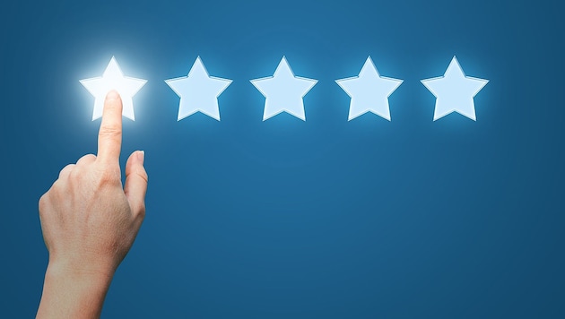 Auf Trustpilot können Verbraucher Unternehmen wie Online-Shops bewerten.