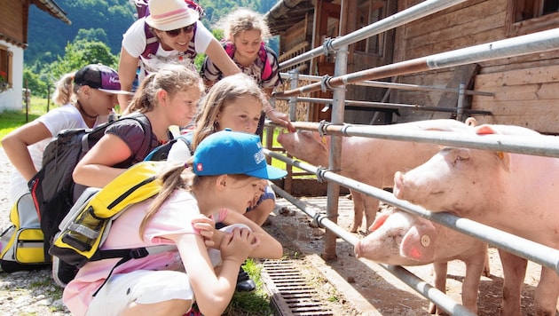 School trips are fun for the children, but are often not cheap (symbolic photo) (Bild: Christian Forcher)