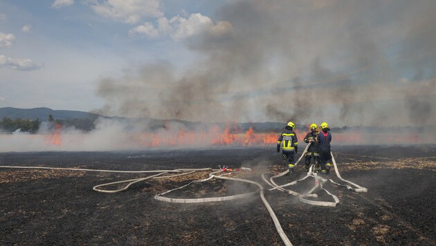 Wie hier löschten die Feuerwehren das Feld (Bild: FF Guntramsdorf)
