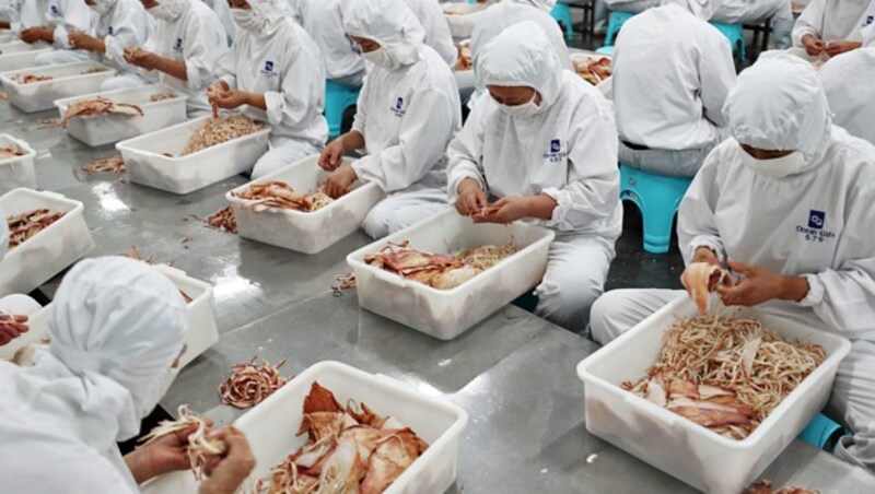 Für den Export bestimmte getrocknete Meeresfrüchte bei der Verarbeitung in der ostchinesischen Provinz Jiangsu (Bild: AFP)