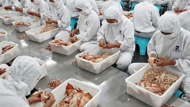 Lebensmittelproduktion in der ostchinesischen Provinz Jiangsu (Archivbild) (Bild: AFP)