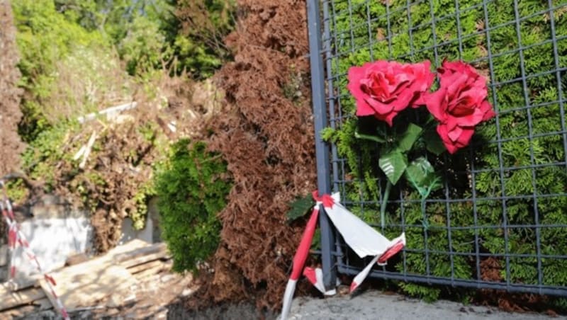 Ein paar Rosen erinnern bei der Baustelle an Peter Alexander und seine Villa. (Bild: Klemens Groh)