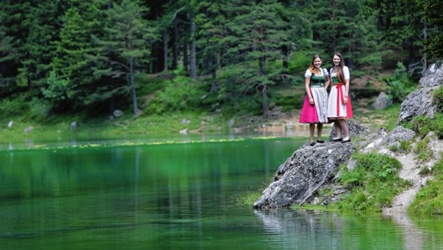 Der Grüne See in Tragöß ist ein steirisches Naturjuwel (Bild: Peter Tomschi)