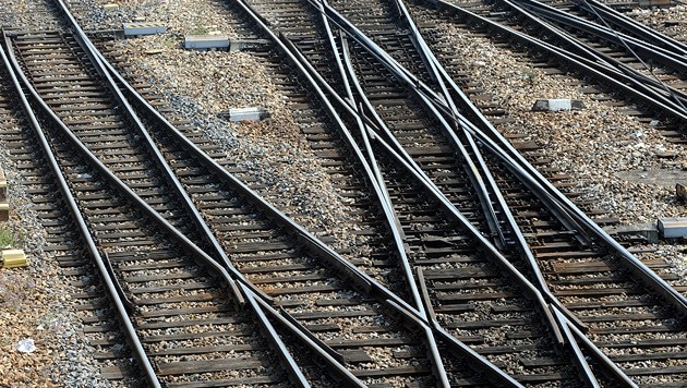 In Hamburg ist am Samstagnachmittag ein Sechsjähriger auf S-Bahngleisen gestorben. Zuvor war er ...