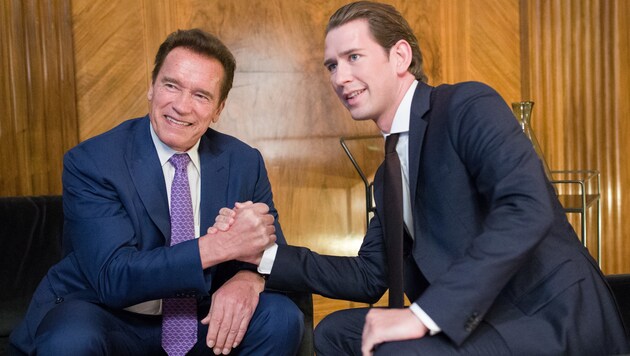 Arnold Schwarzenegger und Sebastian Kurz (Bild: APA/GEORG HOCHMUTH)