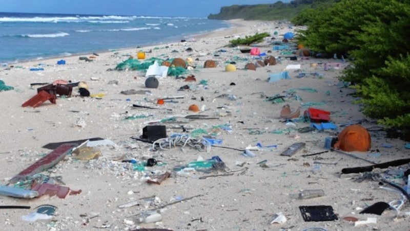 Wissenschaftler fanden am Strand von Henderson Island 38 Millionen Stück Müll, der angeschwemmt wurde. Die Insel ist unbewohnt. (Bild: Jennifer Lavers)